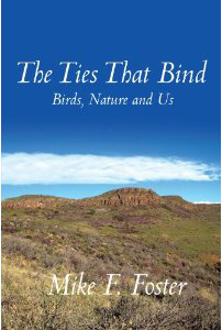 The Ties That Bind Book Cover